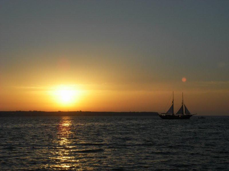 RIMG0019.JPG