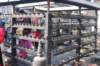 dsc_0011_small.jpg