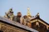 dsc_0020_small.jpg