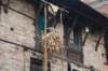 dsc_0127_small.jpg