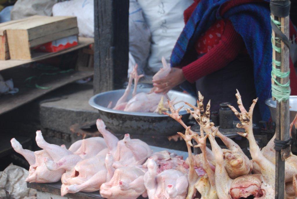 Une photo de l'album « Kathmandou » sur le site web de la famille Ratté.