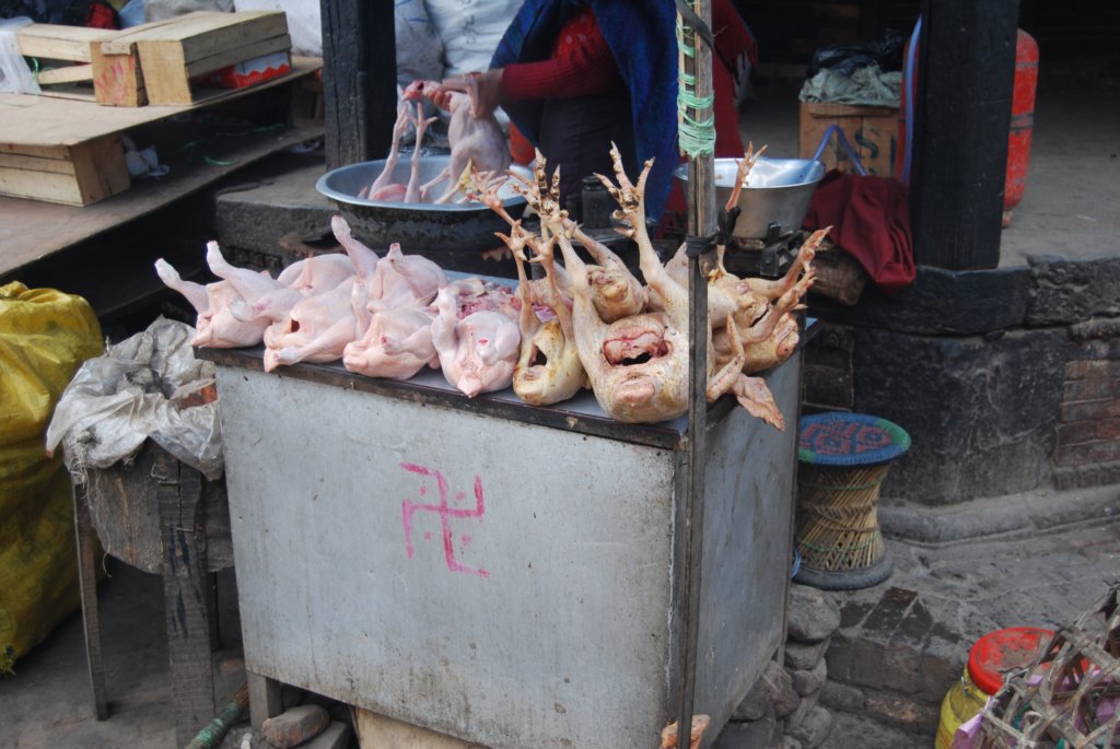Une photo de l'album « Kathmandou » sur le site web de la famille Ratté.