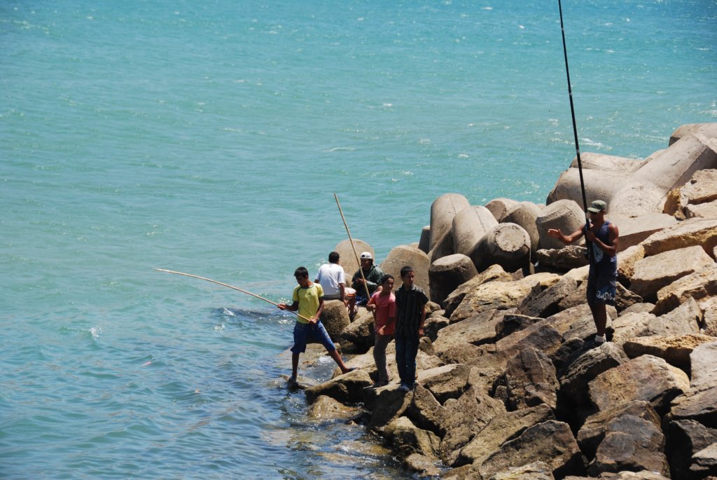 pcheurslaligne.jpg