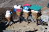 ... un support pour se reposer