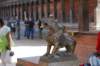 dsc_0541_small.jpg