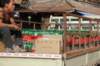 dsc_0577_small.jpg