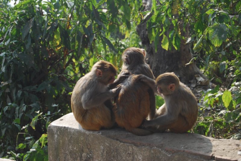 dsc_0021.jpg