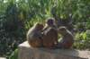 dsc_0021_small.jpg