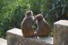 dsc_0024_small.jpg