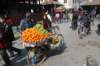 dsc_0046_small.jpg