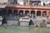 dsc_0207_small.jpg