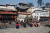 dsc_0219_small.jpg
