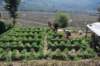 dsc_0286_small.jpg