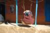 dsc_0312_small.jpg
