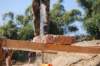 dsc_0318_small.jpg