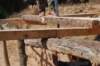 dsc_0320_small.jpg