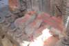 dsc_0331_small.jpg