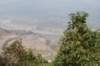 dsc_0372_small.jpg