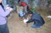 dsc_0460_small.jpg
