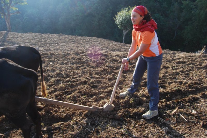 Une photo de l'album « Népal — autres photos » sur le site web de la famille Ratté.