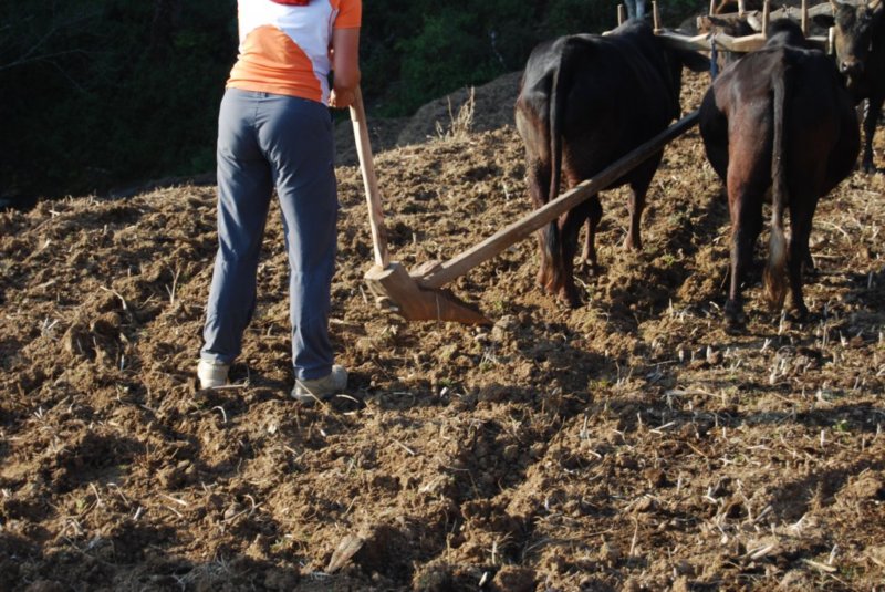 Une photo de l'album « Népal — autres photos » sur le site web de la famille Ratté.