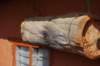 dsc_0500_small.jpg