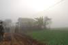 dsc_0614_small.jpg