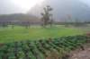 dsc_0667_small.jpg