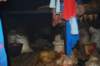 dsc_0688_small.jpg