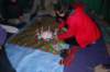 dsc_0704_small.jpg