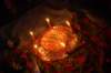 dsc_0714_small.jpg