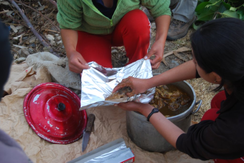 Les viandes marinées (poulet, porc, ...)