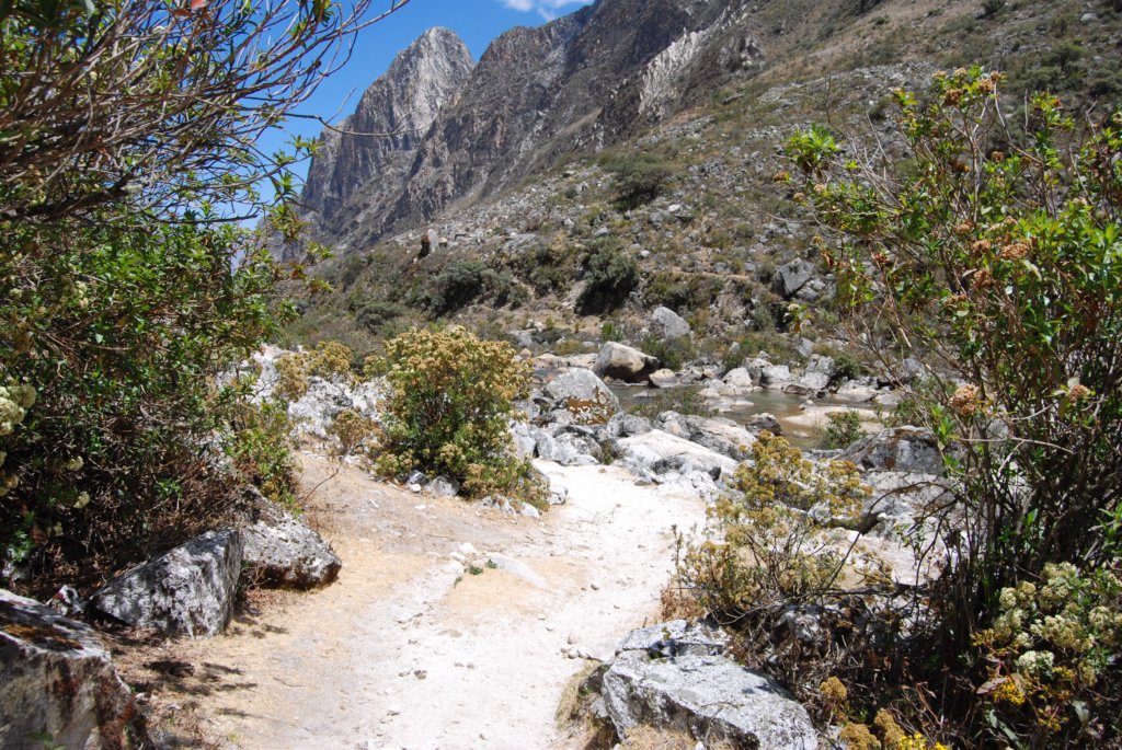 Magnifique sentier ombragé