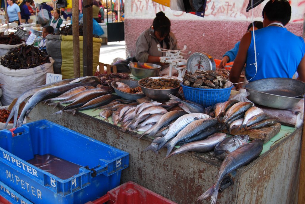 poissonerieonestauborddelamer.jpg