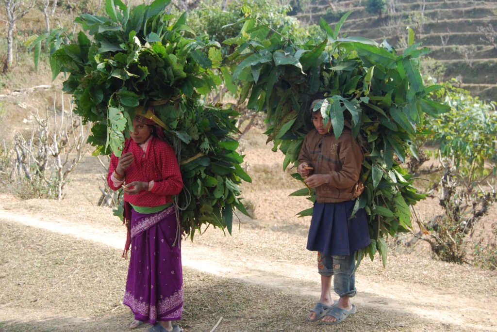 Une photo de l'album « Autour de Pokara » sur le site web de la famille Ratté.