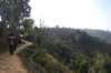 dsc_0381_small.jpg