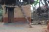 dsc_0590_small.jpg