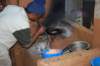 dsc_0599_small.jpg