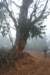 dsc_0612_small.jpg