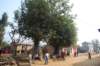 dsc_0621_small.jpg