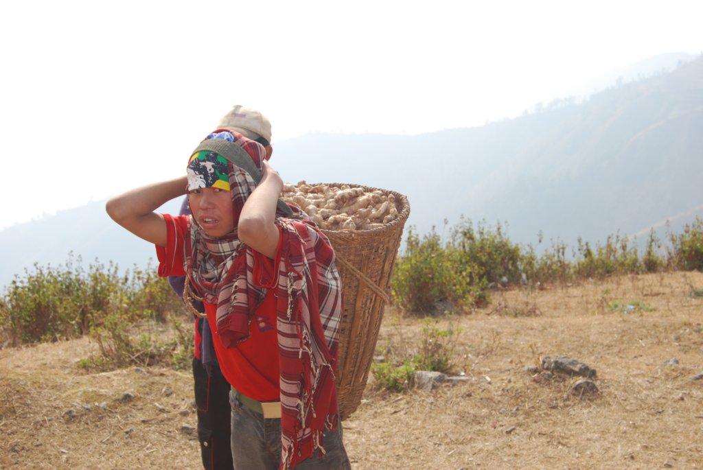 Une photo de l'album « Autour de Pokara » sur le site web de la famille Ratté.