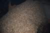 dsc_0681_small.jpg