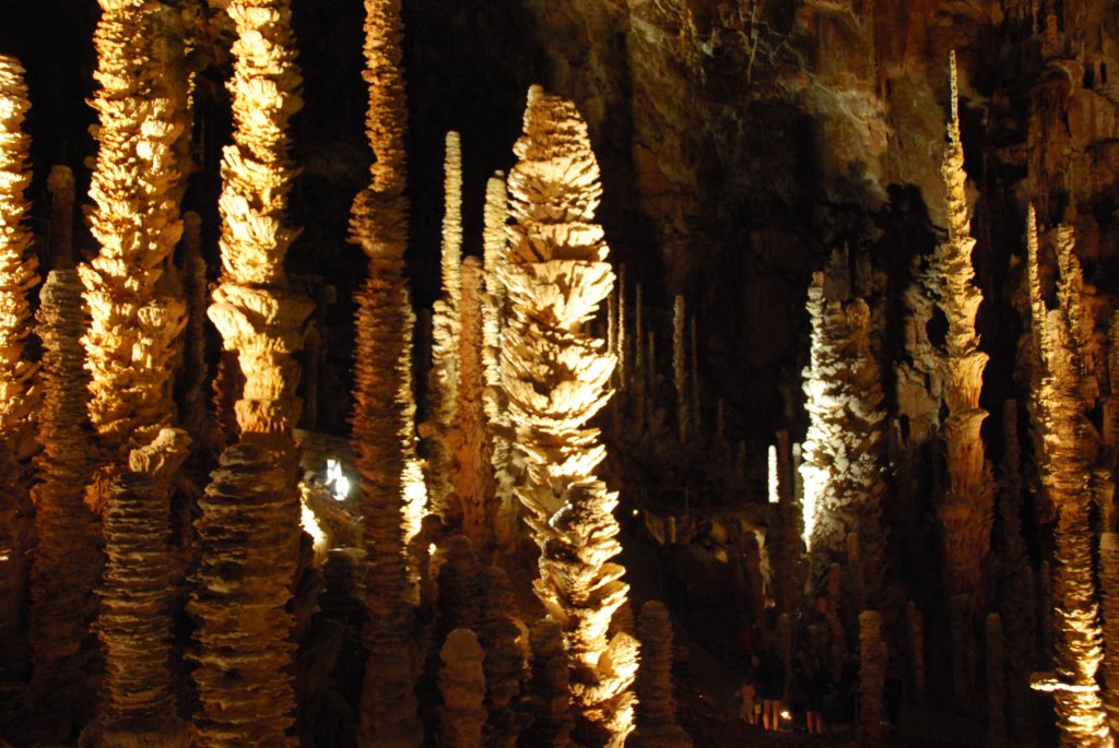 Au fond de la salle se trouve une forêt de grandes stalagmites.