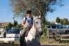 lecamargueestunetrsancienneracedepetitchevaldesellerustiquedecouleurgriseoriginairedelargiondecamargue_small.jpg