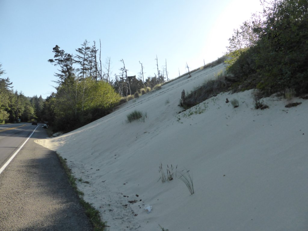 dunedesable.jpg