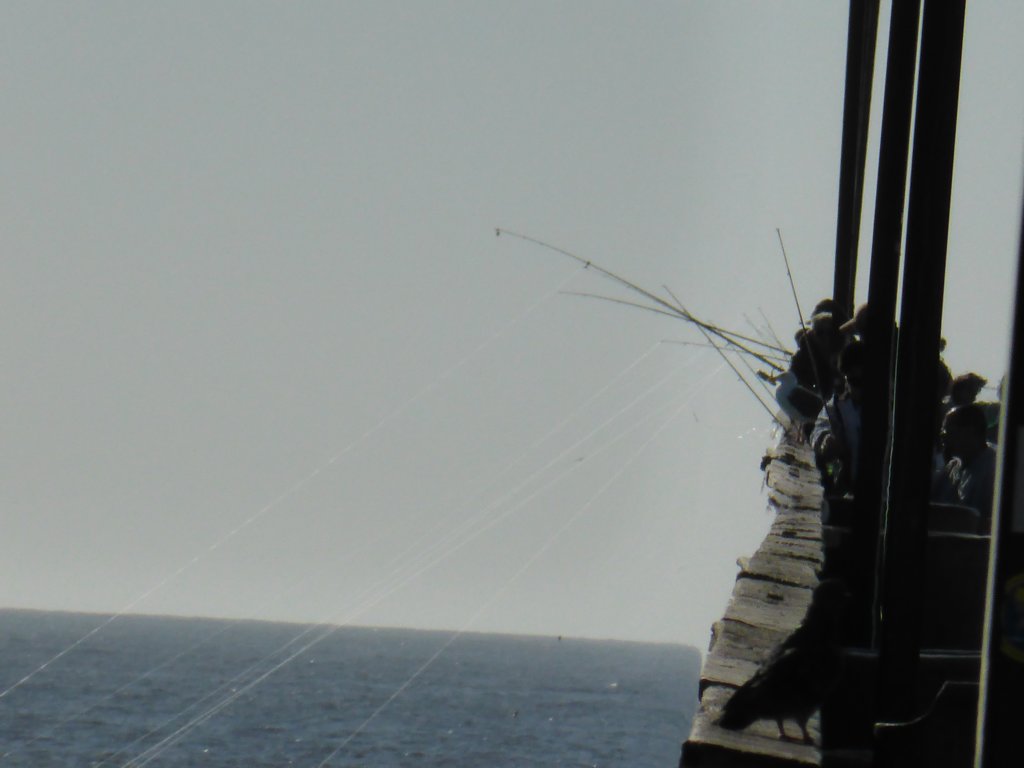 ...la pêche