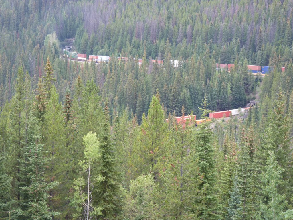 Le train entre dans le tunnel (niveau inférieur) et ressort (niveau supérieur)