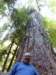 p1000024_small.jpg