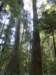 p1000026_small.jpg