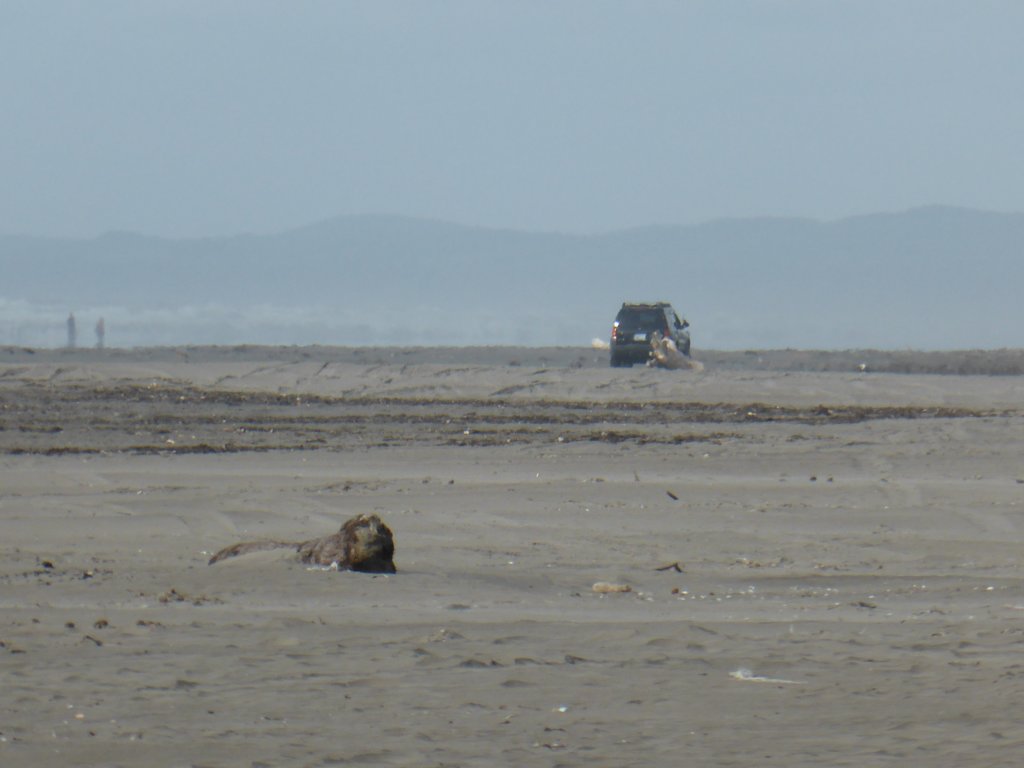 Une photo de l'album « Voyage Ouest US » sur le site web de la famille Ratté.